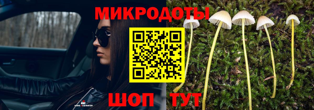 Галлюциногенные грибы мицелий Советский