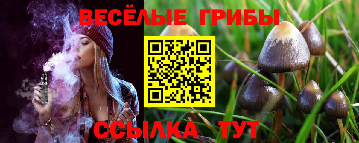 Галлюциногенные грибы Psilocybe  Псилоцибиновые грибы ЛСД  Вход с VPN  Советский 